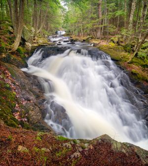 59  CW694-Bicknell-Falls.jpg